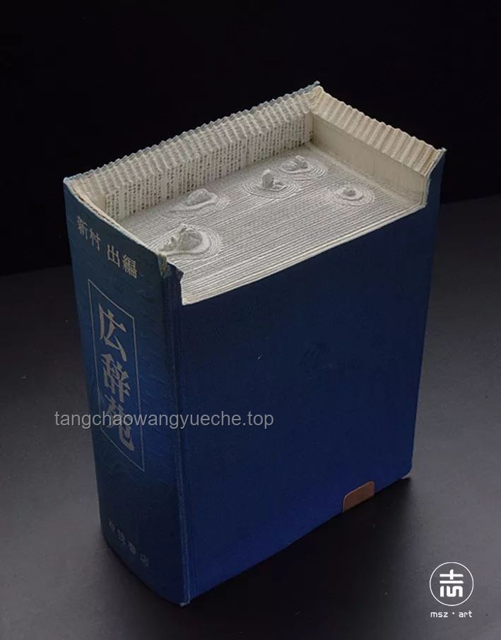 打开书本与枪柜：跨界视角下的社会奇观解析